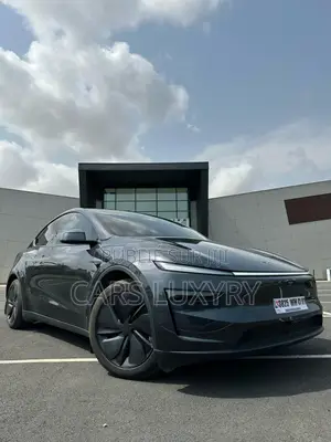 Tesla Model Y Performance AWD 2025 Noir