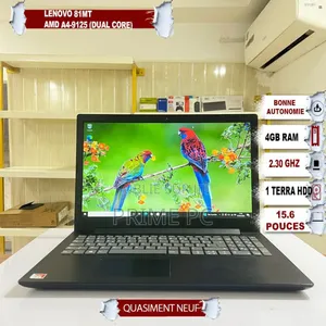 Ordinateur portable Lenovo Autre 4GB AMD A4 HDD 1T