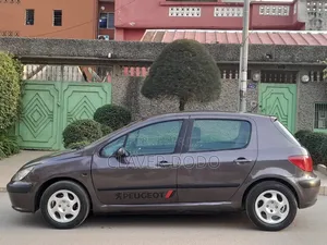 Peugeot 307 2004 Gris