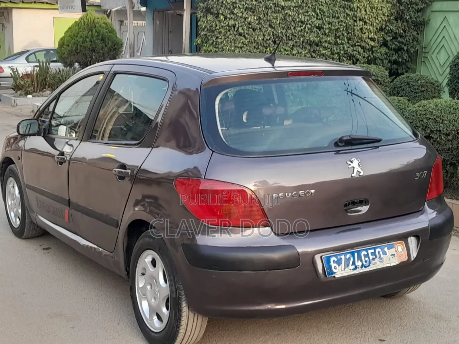 Peugeot 307 2004 Gris