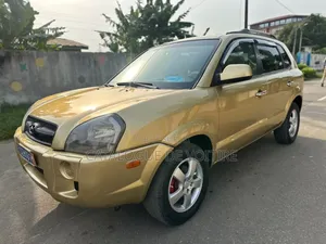 Hyundai Tucson 2005 Argenté