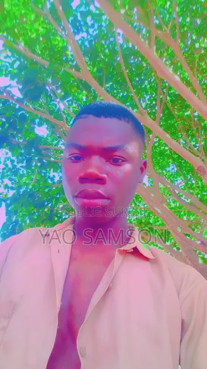 Je Recherche Un CV J'ais Le Bepc Niveau Terminale D