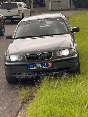 BMW 316i 2003 Gris