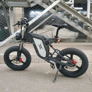 Vélo Électrique