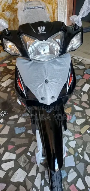 Nouveau Haojue HJ110-5 2024 Gris