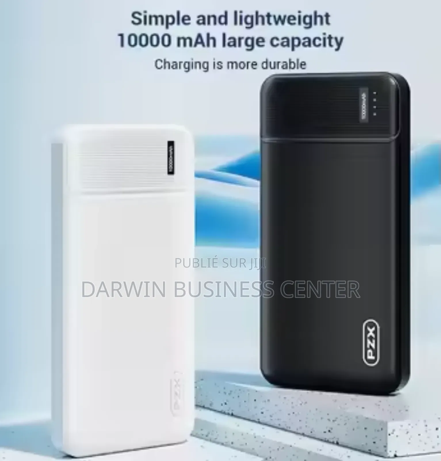 Power Bank Pzx V02. 10.000mah