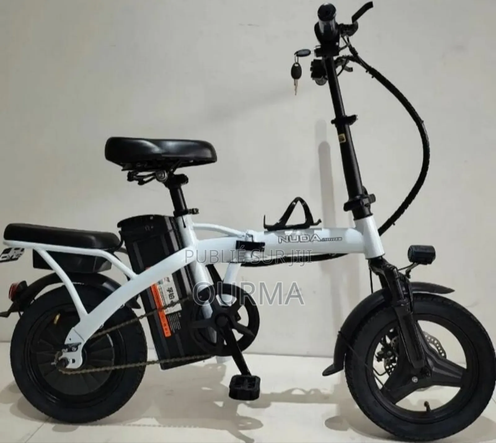 Vélo Électrique