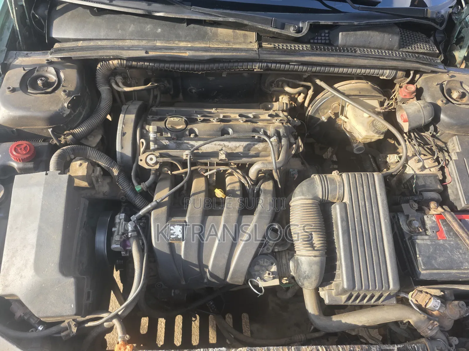 Peugeot 406 2004 Vert