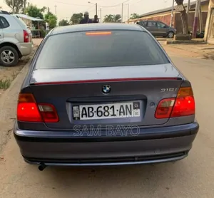 BMW 318i 2002 Gris