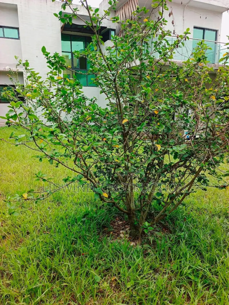 4chbre Villa dans Cocody à Louer