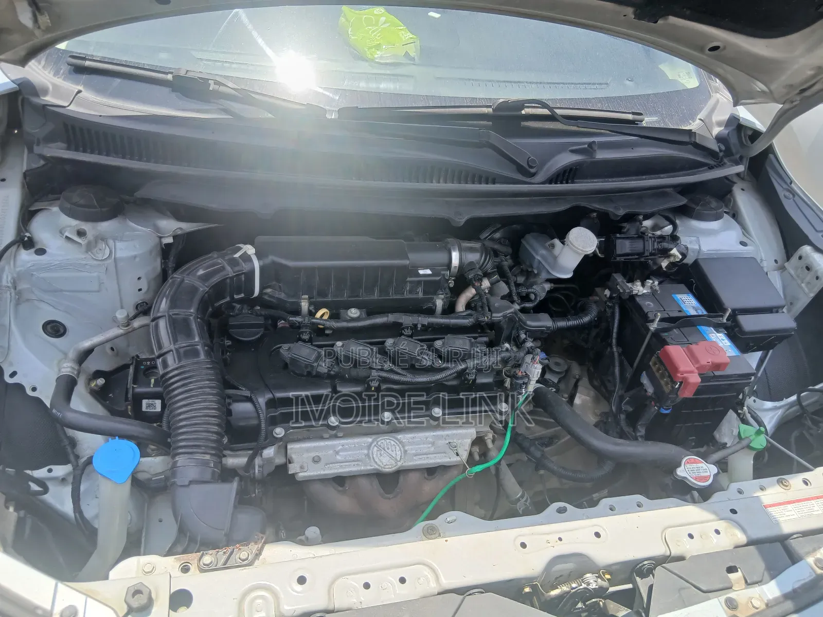 Toyota Starlet 2023 Gris