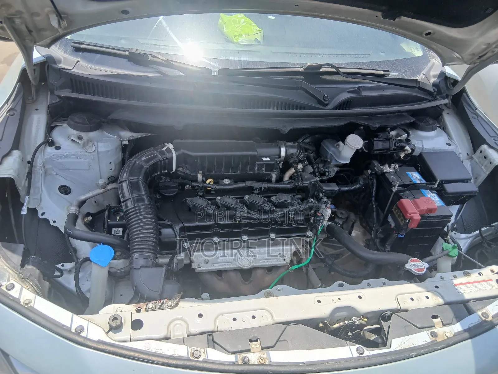 Toyota Starlet 2023 Gris