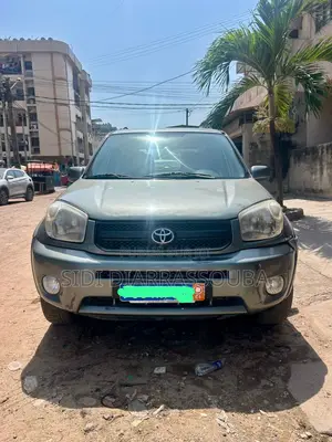 Toyota RAV4 2003 Gris