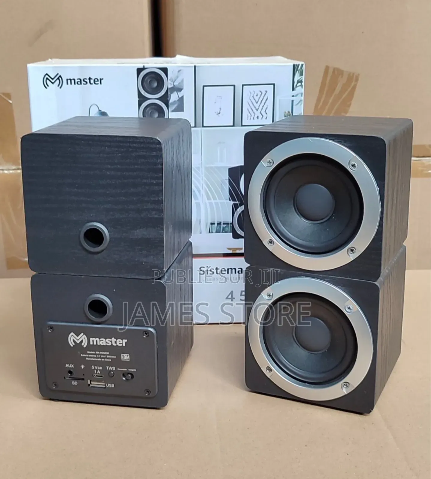 Enceinte Bluetooth Master / Haut-Parleur Radio