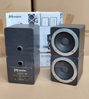 Enceinte Bluetooth Master / Haut-Parleur Radio