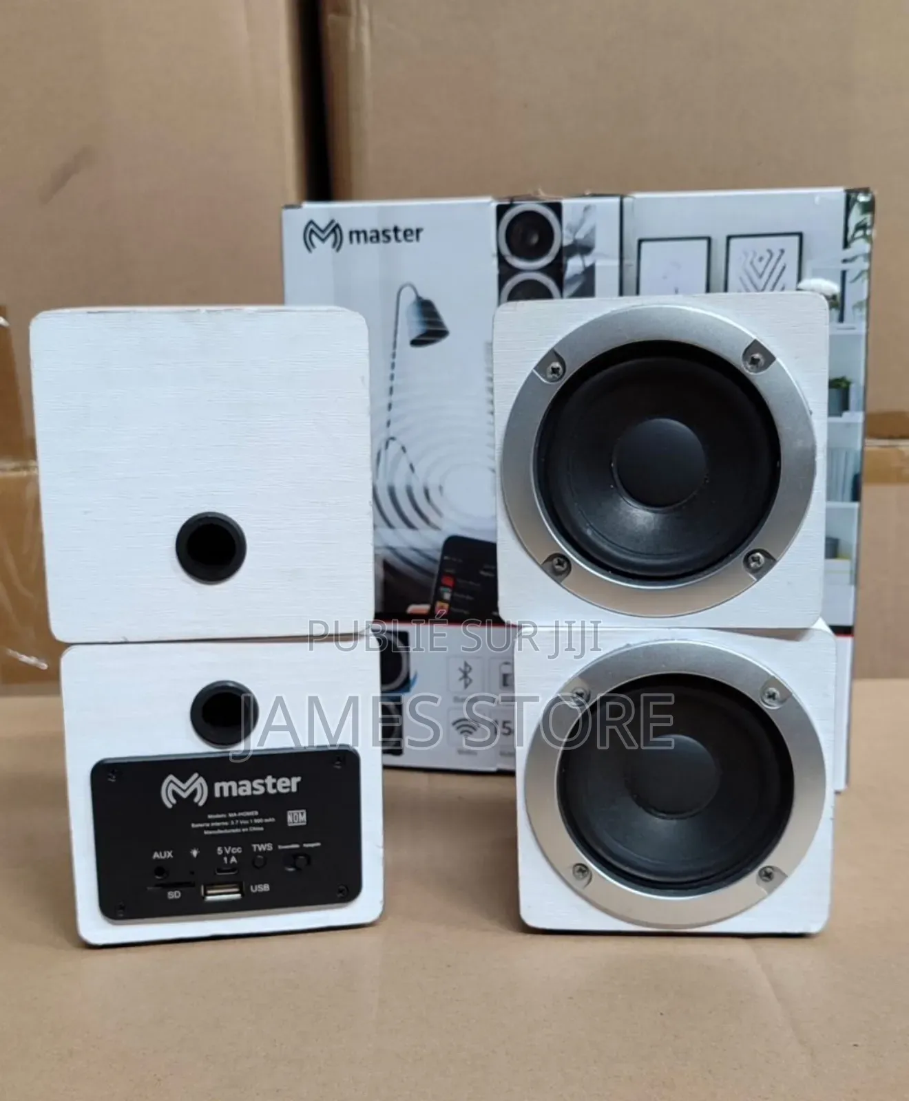 Enceinte Bluetooth Master / Haut-Parleur Radio