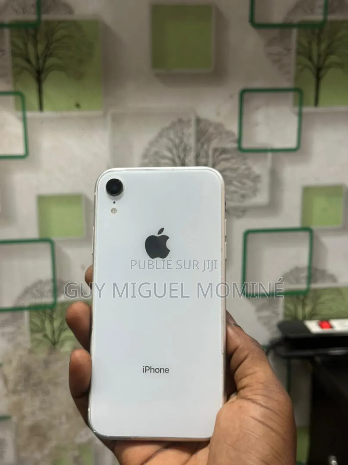 Apple iPhone XR 64 GB Autre