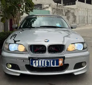 BMW 318i 2002 Gris