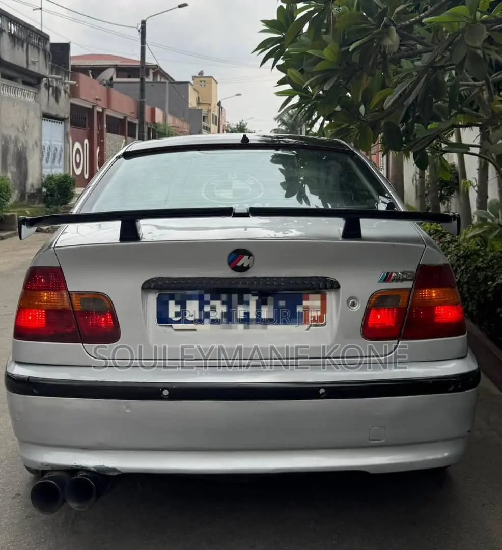 BMW 318i 2002 Gris