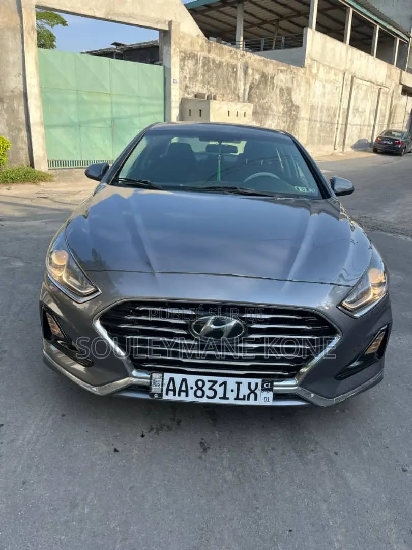 Hyundai Sonata 2019 Gris