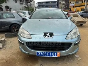 Peugeot 407 2002 Gris