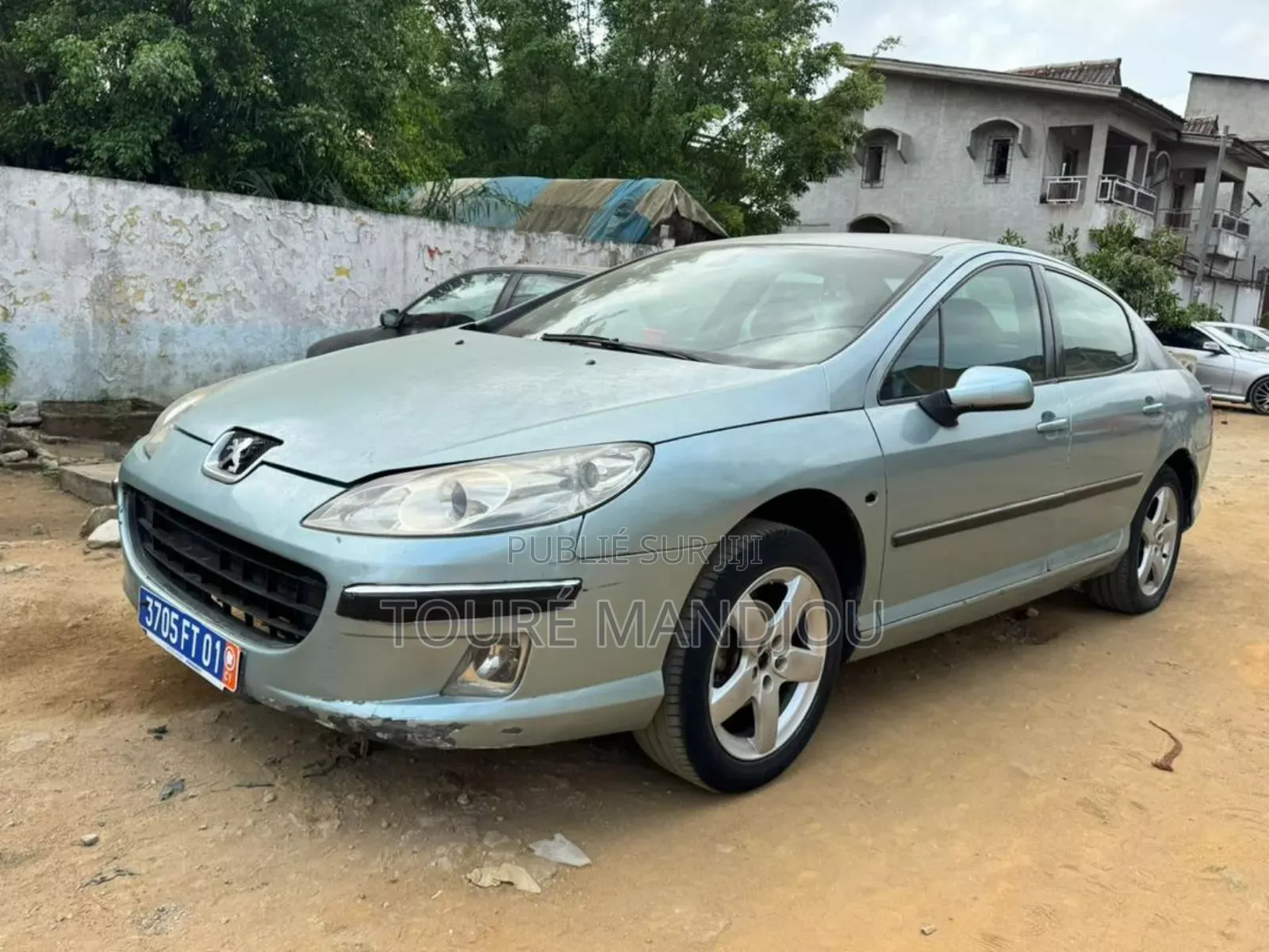 Peugeot 407 2002 Gris