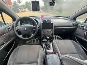 Peugeot 407 2002 Gris