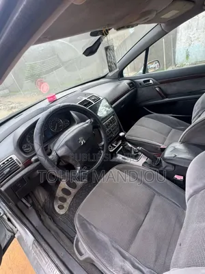 Peugeot 407 2002 Gris