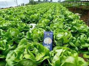 4tree Engrais Bio Ionique Solutions Agricoles Durables