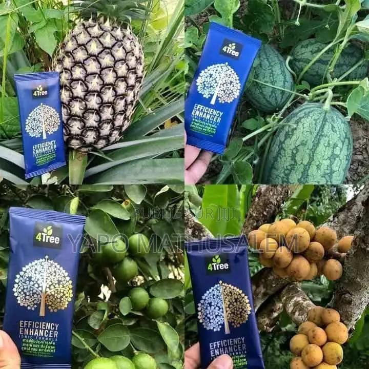 4tree Engrais Bio Ionique Solutions Agricoles Durables