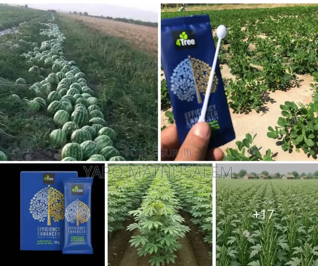 4tree Engrais Bio Ionique Solutions Agricoles Durables