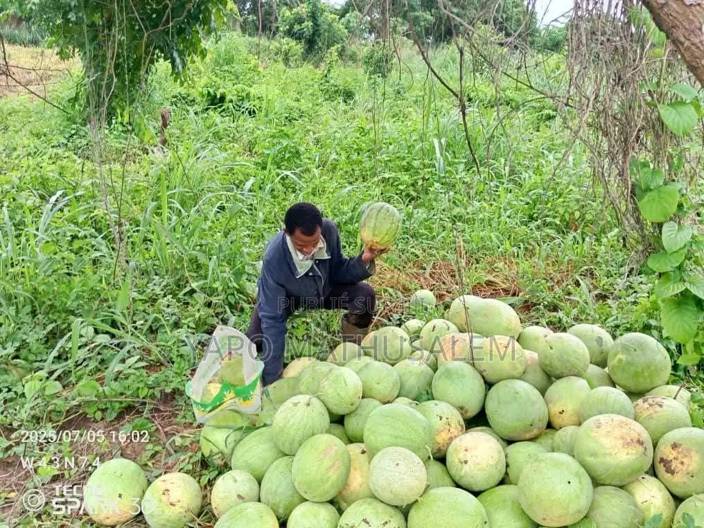 4tree Engrais Bio Ionique Solutions Agricoles Durables