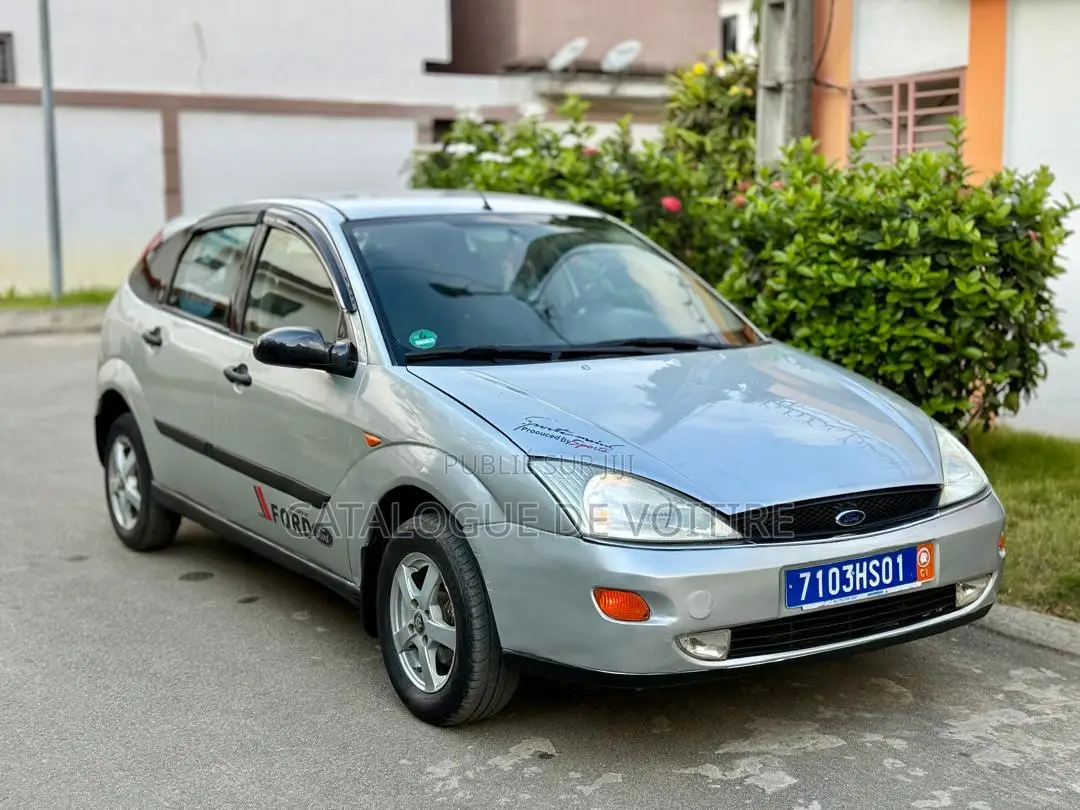 Ford Focus 2003 Gris