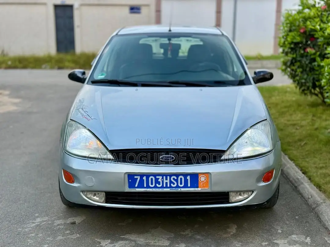 Ford Focus 2003 Gris