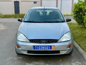 Ford Focus 2003 Gris