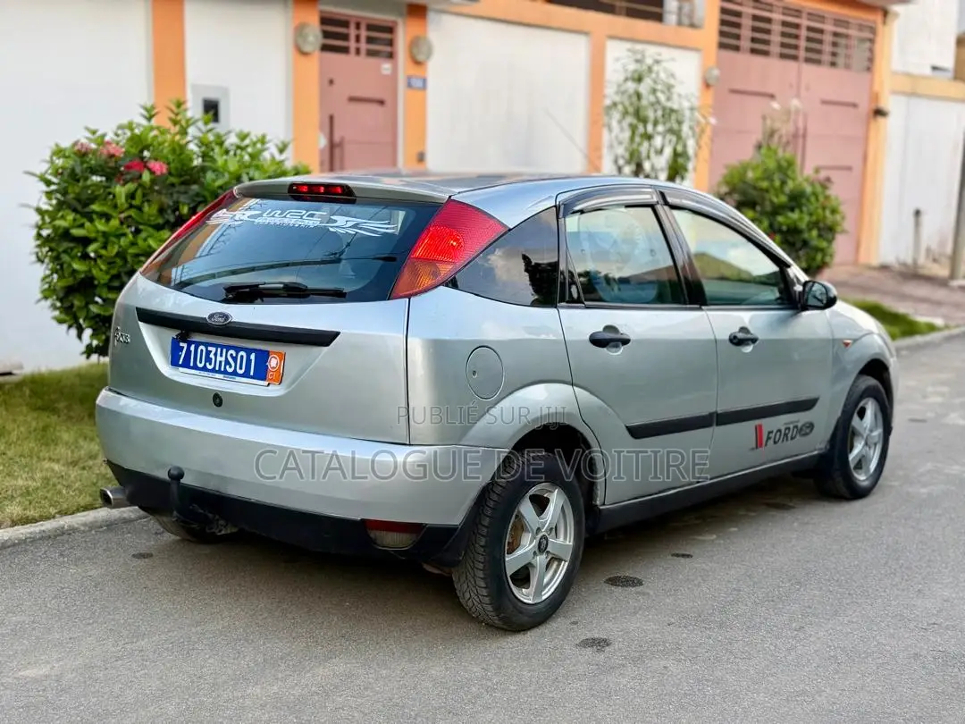 Ford Focus 2003 Gris