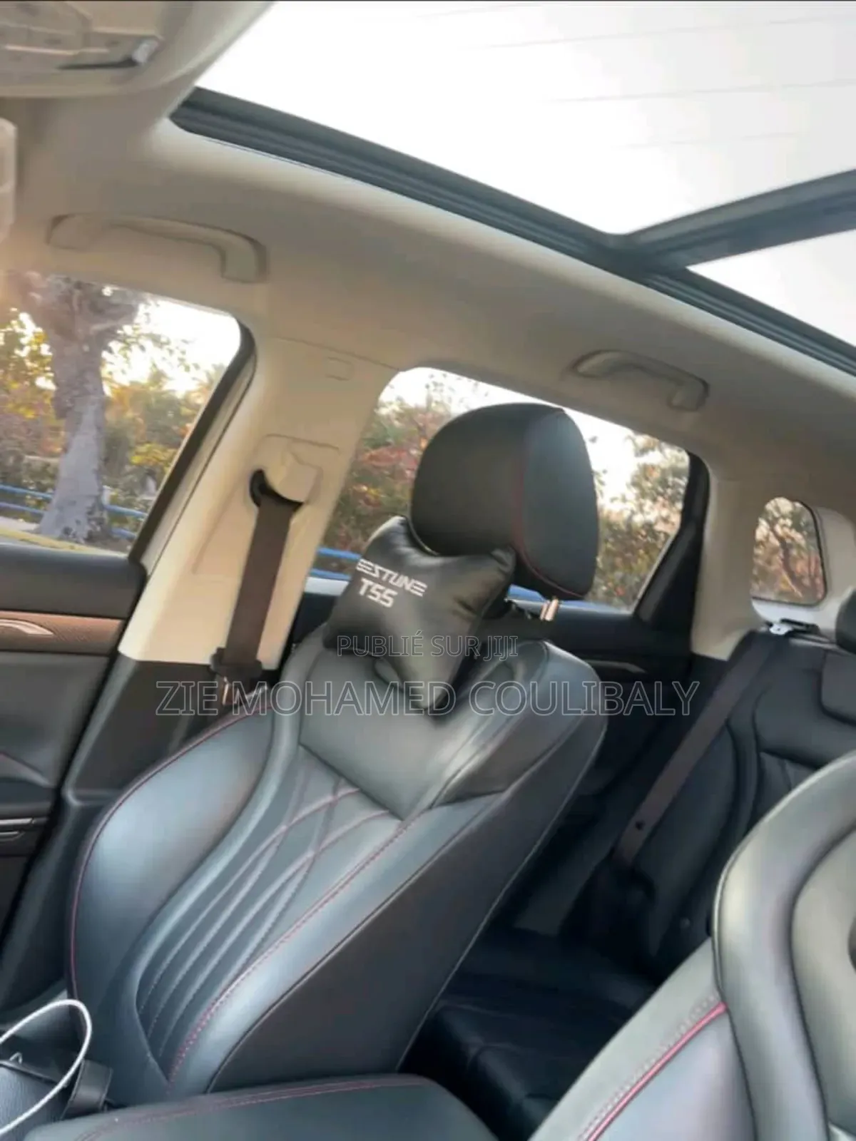 Bestune Pony 27hp FWD 2025 Autre