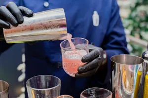 Barman Professionnel