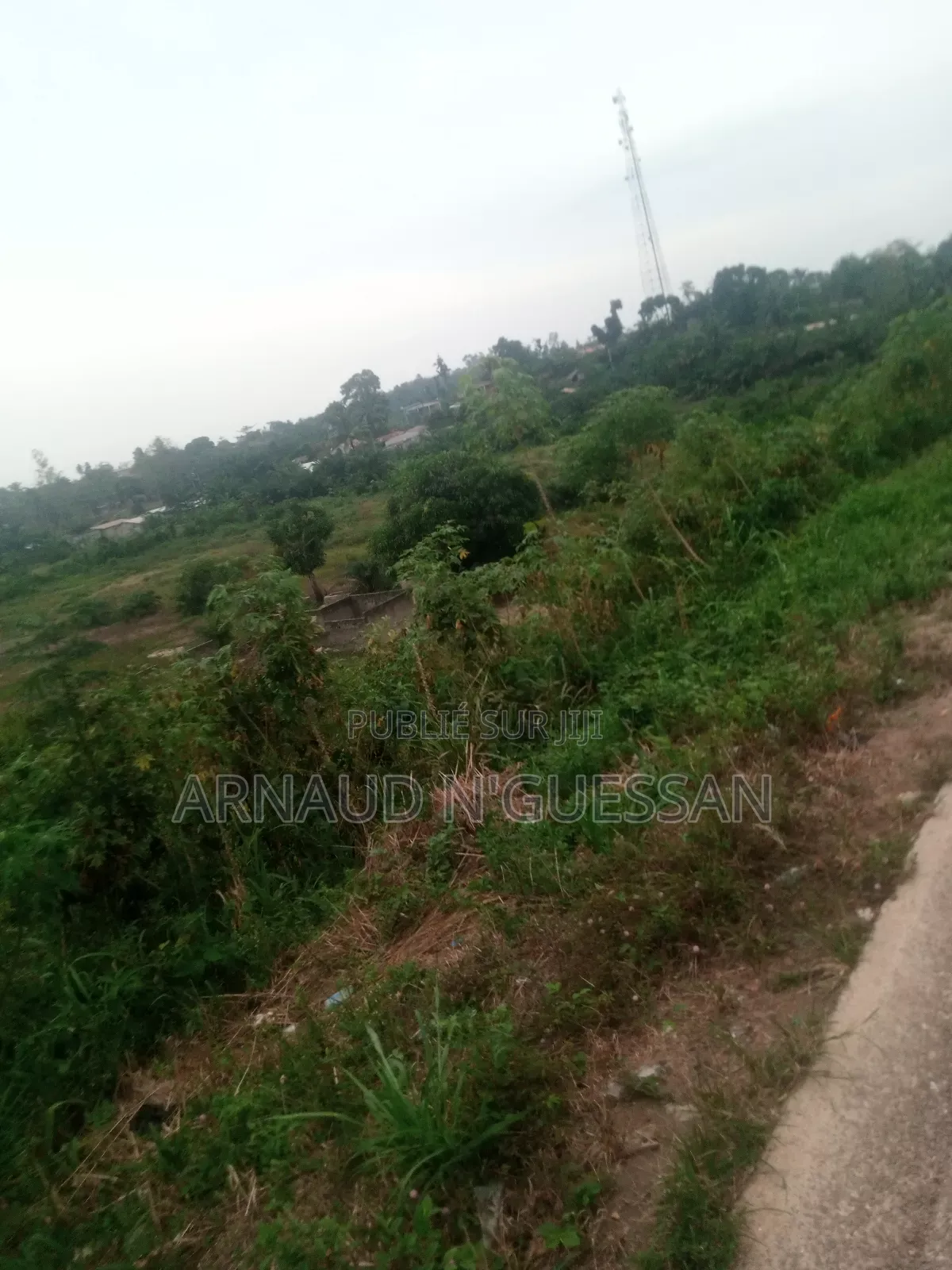 Cherche Du Partenariat