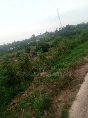 Cherche Du Partenariat