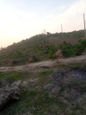 Un Terrain De 400m2 Bien Placé Pour Vous Tu Veux Réaliser Tes Rêves