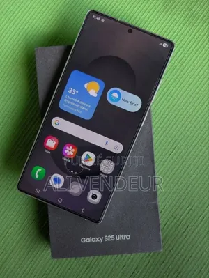 Nouveau Samsung Galaxy S25 512 GB Autre