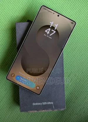 Nouveau Samsung Galaxy S25 512 GB Autre
