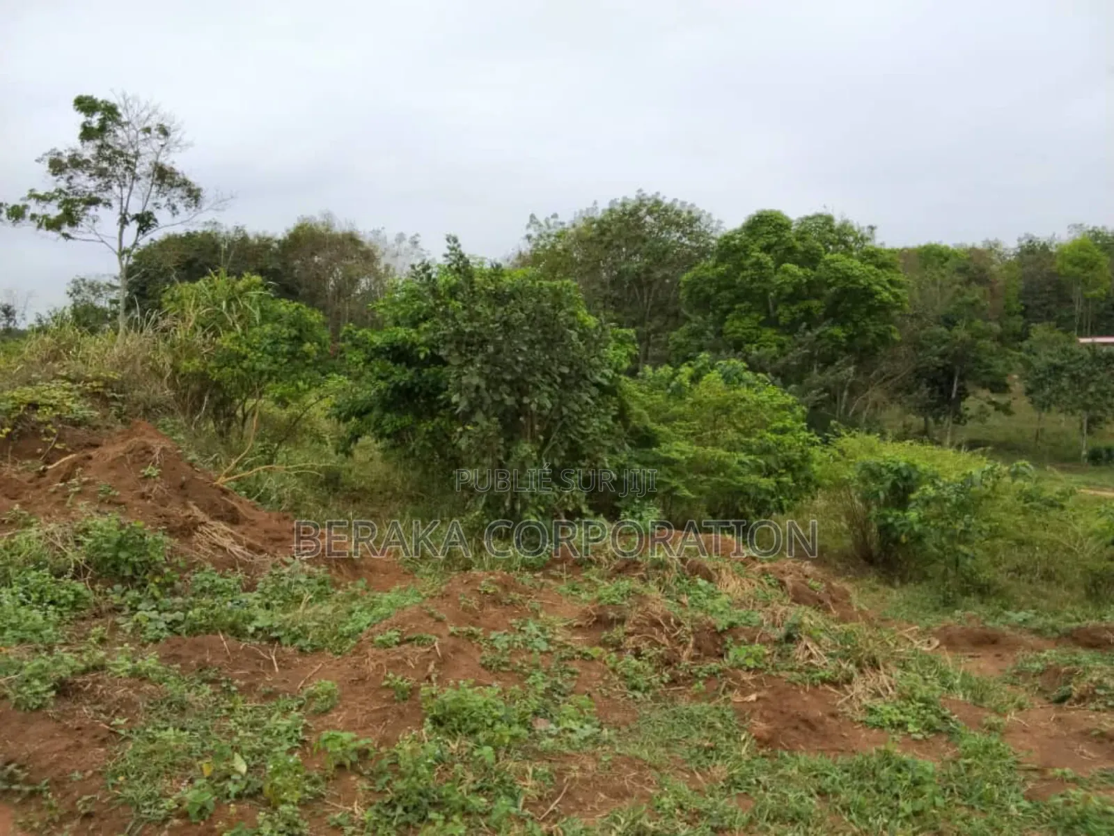 Songon Dagbe 2.500.000f/ Lot ( Il Reste 2 Lots)Vente Rapide Ca Dure