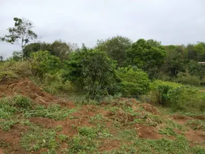 Songon Dagbe 2.500.000f/ Lot ( Il Reste 2 Lots)Vente Rapide Ca Dure