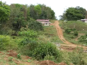 Songon Dagbe 2.500.000f/ Lot ( Il Reste 2 Lots)Vente Rapide Ca Dure