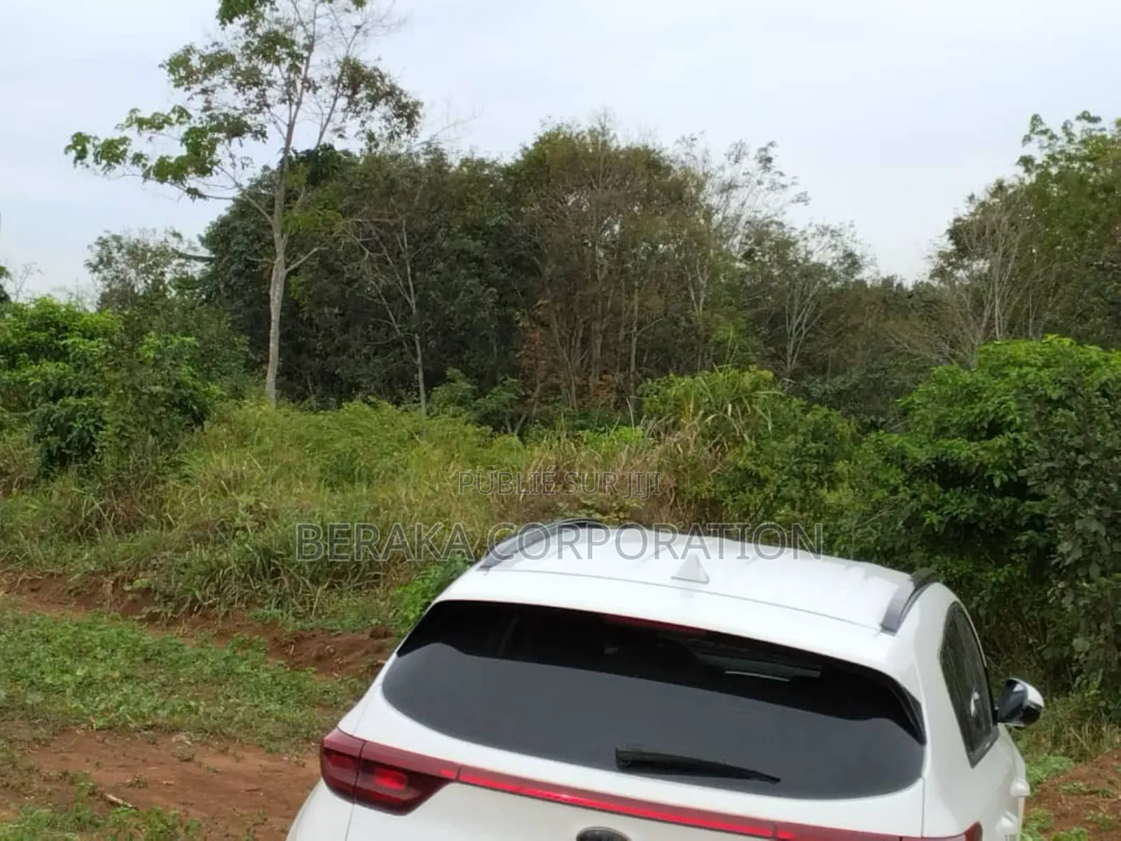 Songon Dagbe 2.500.000f/ Lot ( Il Reste 2 Lots)Vente Rapide Ca Dure