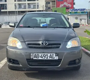 Toyota Corolla 2002 Gris
