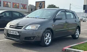 Toyota Corolla 2002 Gris