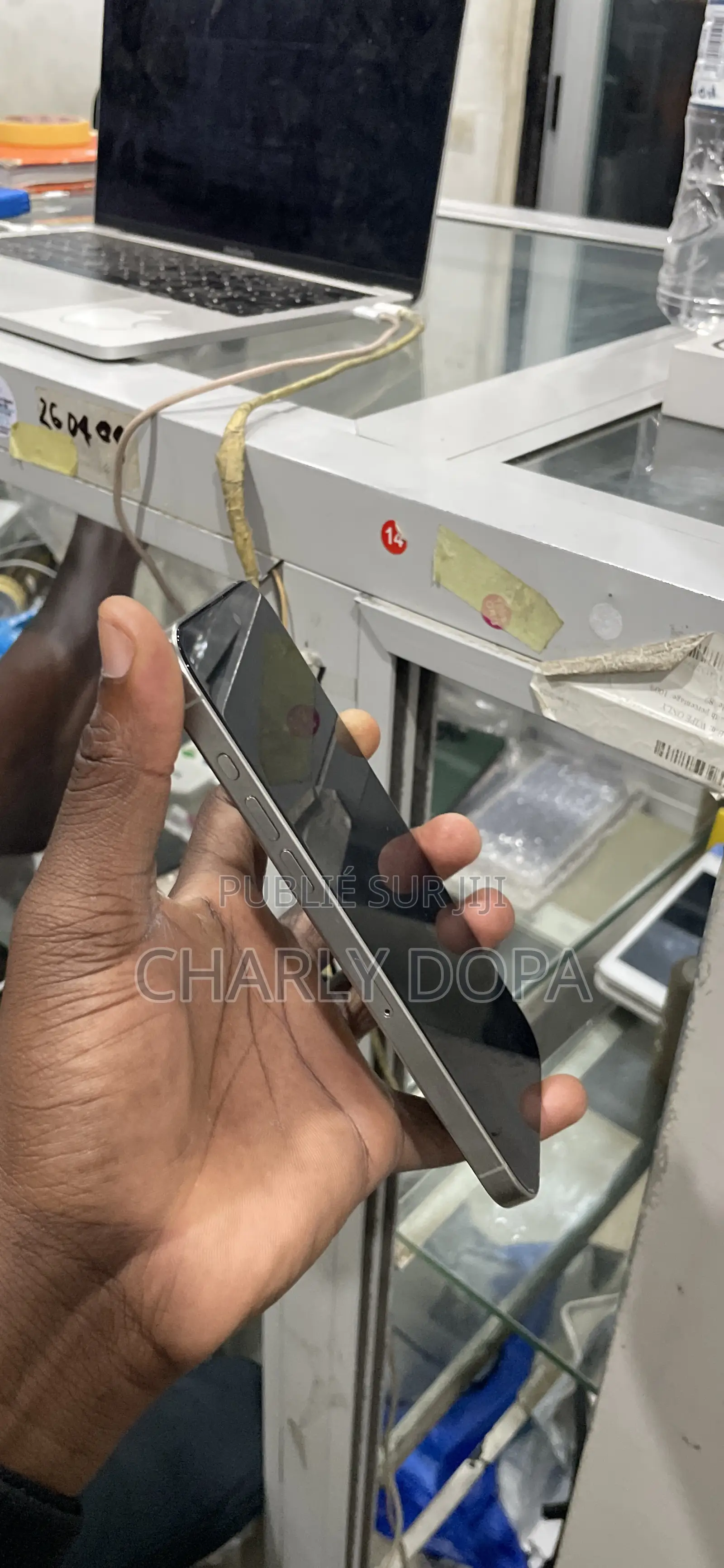 Apple iPhone 15 Pro Max 256 GB Argenté